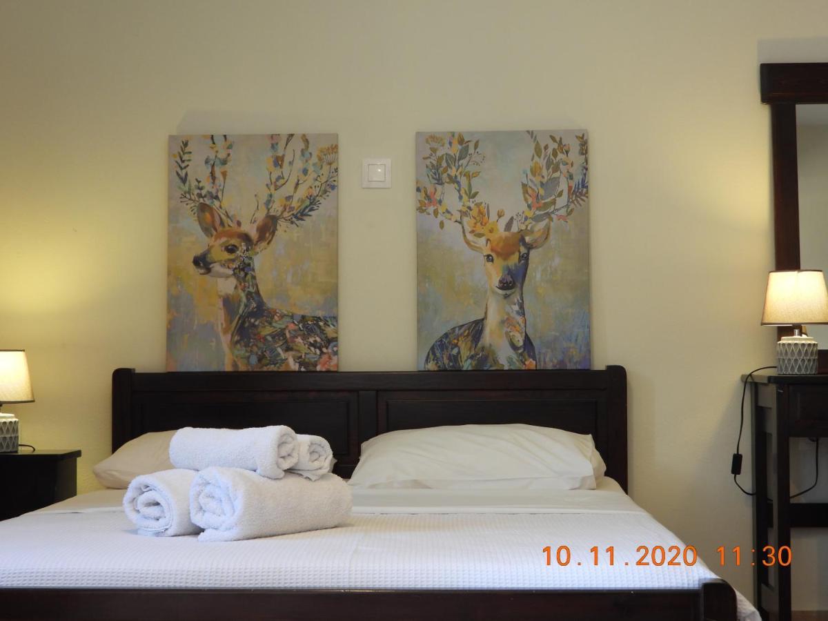 Sophia Limeni Apartments And Studios Ngoại thất bức ảnh